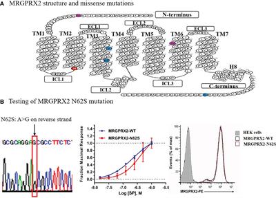 Biological screening of a unique drug library targeting MRGPRX2